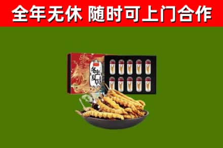 新建回收冬虫夏草价格