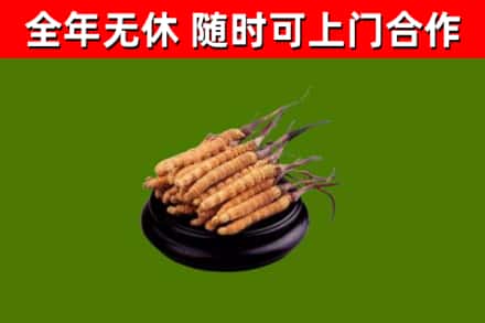 新建烟酒回收冬虫夏草.jpg