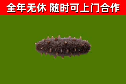 新建烟酒回收干海参.jpg